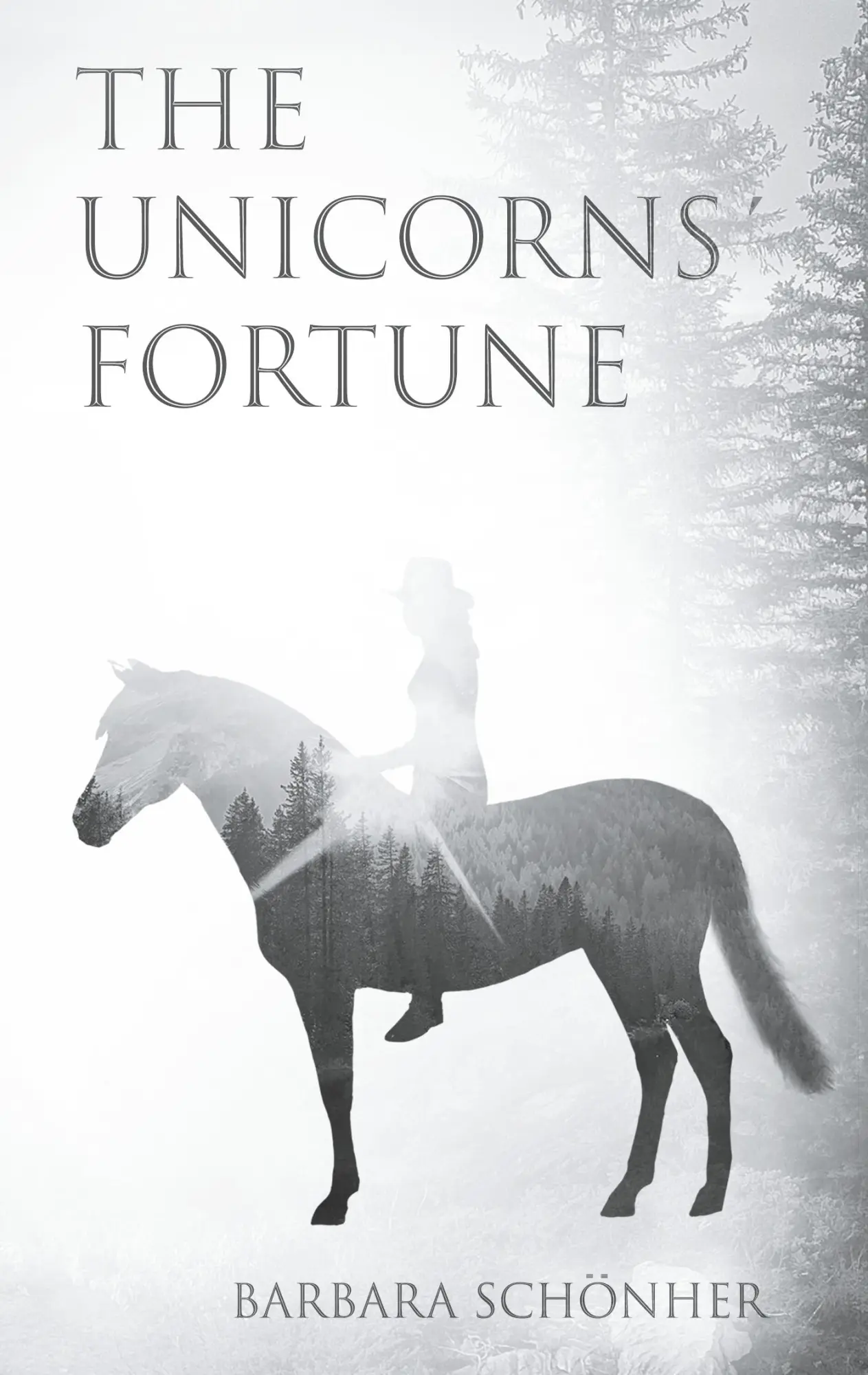 Cover: 9783746078151 | The Unicorns' Fortune | Barbara Schönher | Taschenbuch | 296 S. | 2019