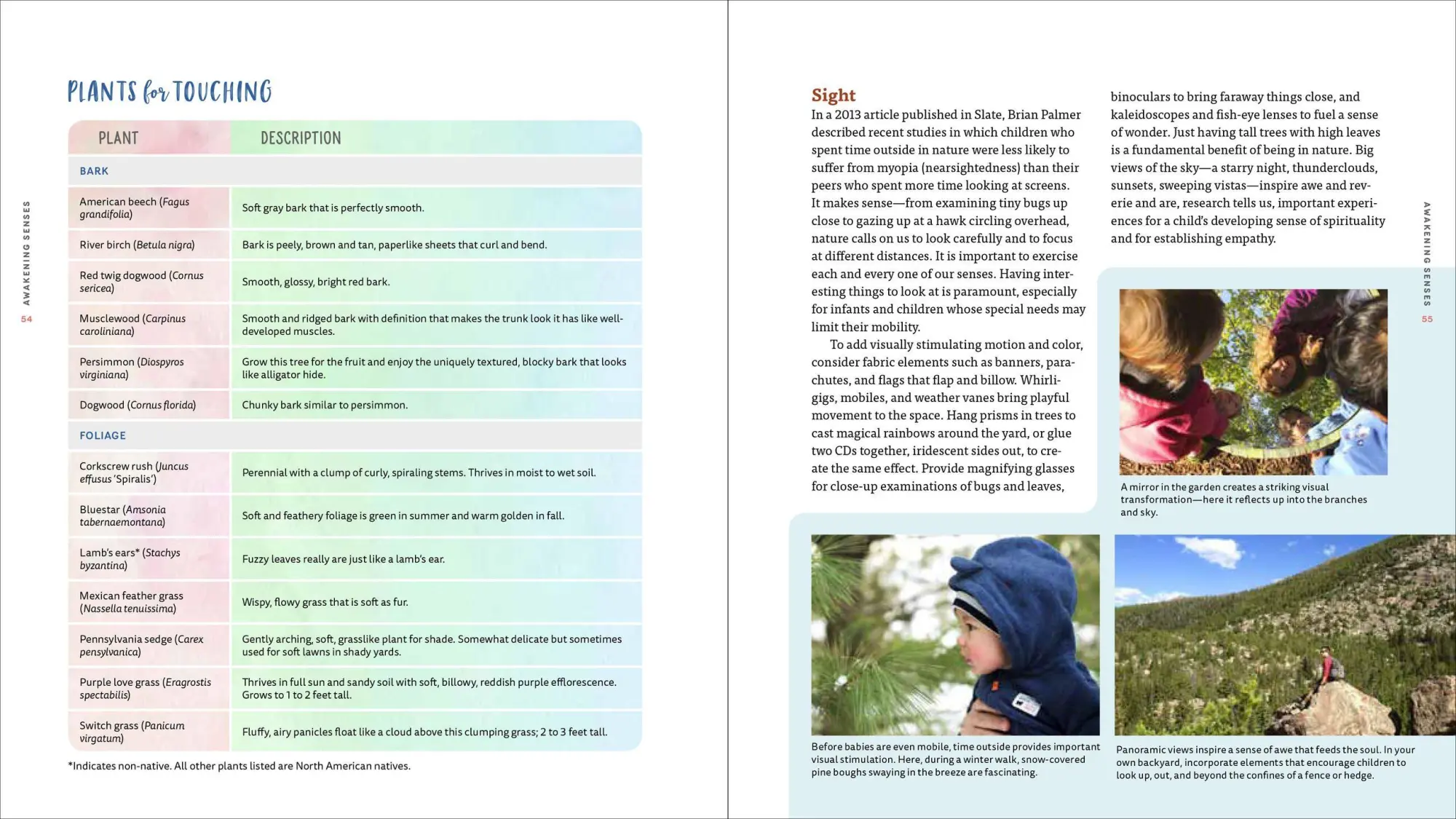 Bild: 9781604698251 | Nature Play at Home | Nancy Striniste | Taschenbuch | Englisch | 2019