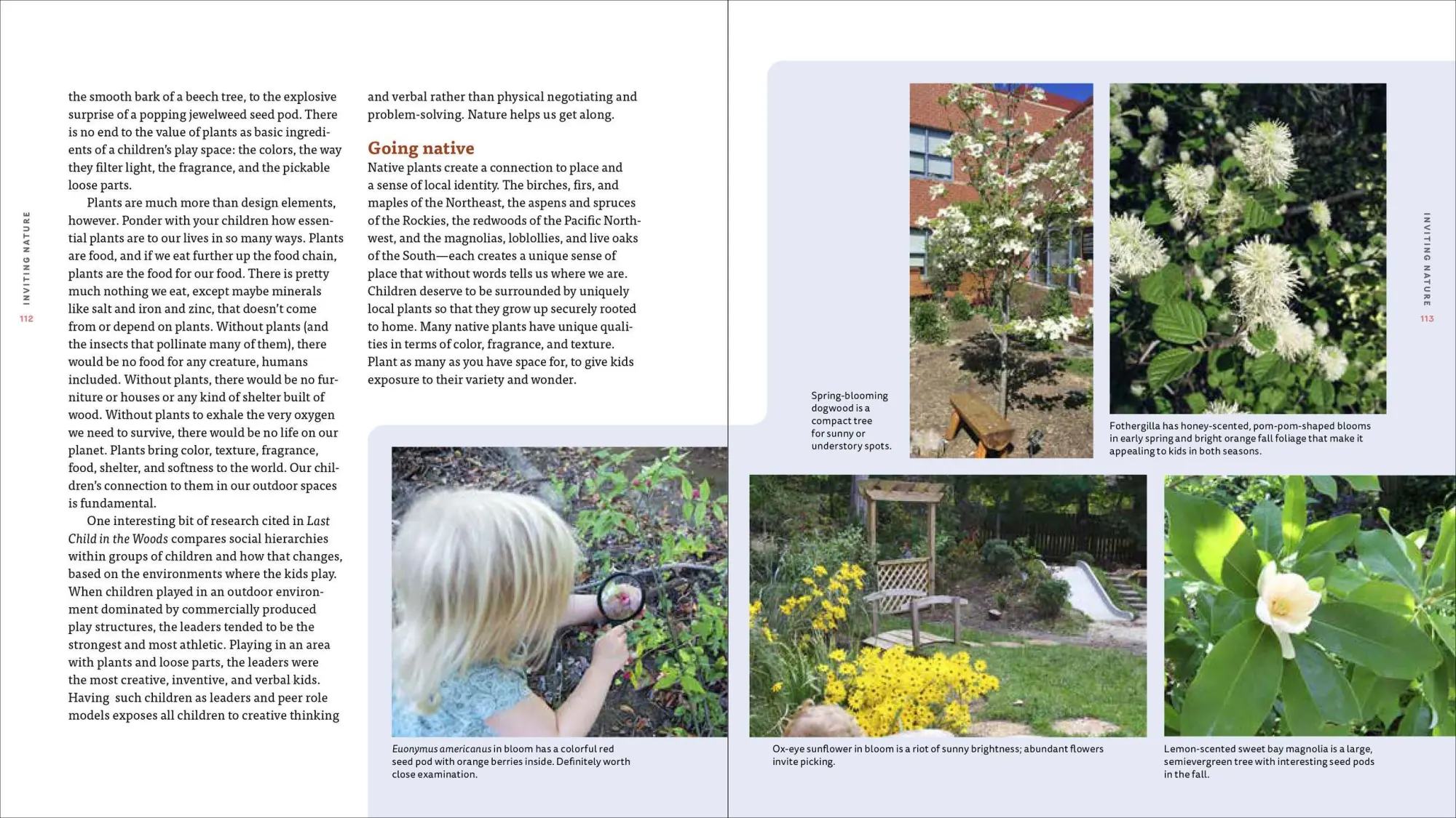 Bild: 9781604698251 | Nature Play at Home | Nancy Striniste | Taschenbuch | Englisch | 2019