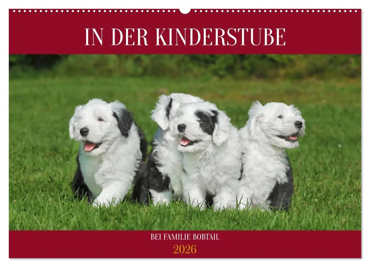 Cover: 9783457368251 | In der Kinderstube bei Familie Bobtail (Wandkalender 2026 DIN A2...