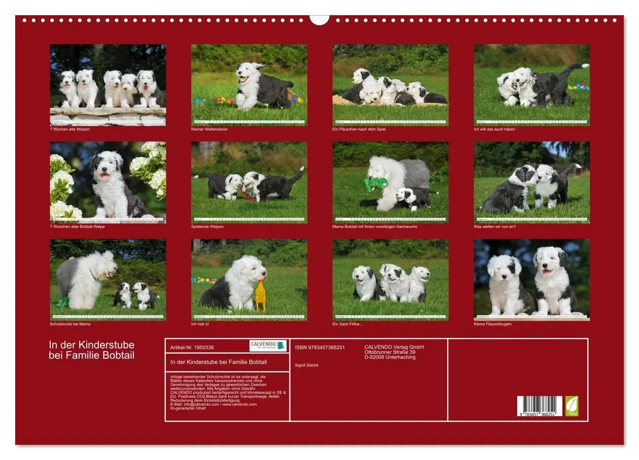 Bild: 9783457368251 | In der Kinderstube bei Familie Bobtail (Wandkalender 2026 DIN A2...