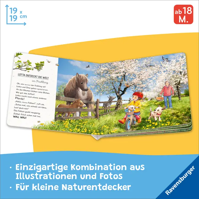Bild: 9783473418251 | Lotta entdeckt die Welt: Im Frühling | Sandra Grimm | Buch | 16 S.