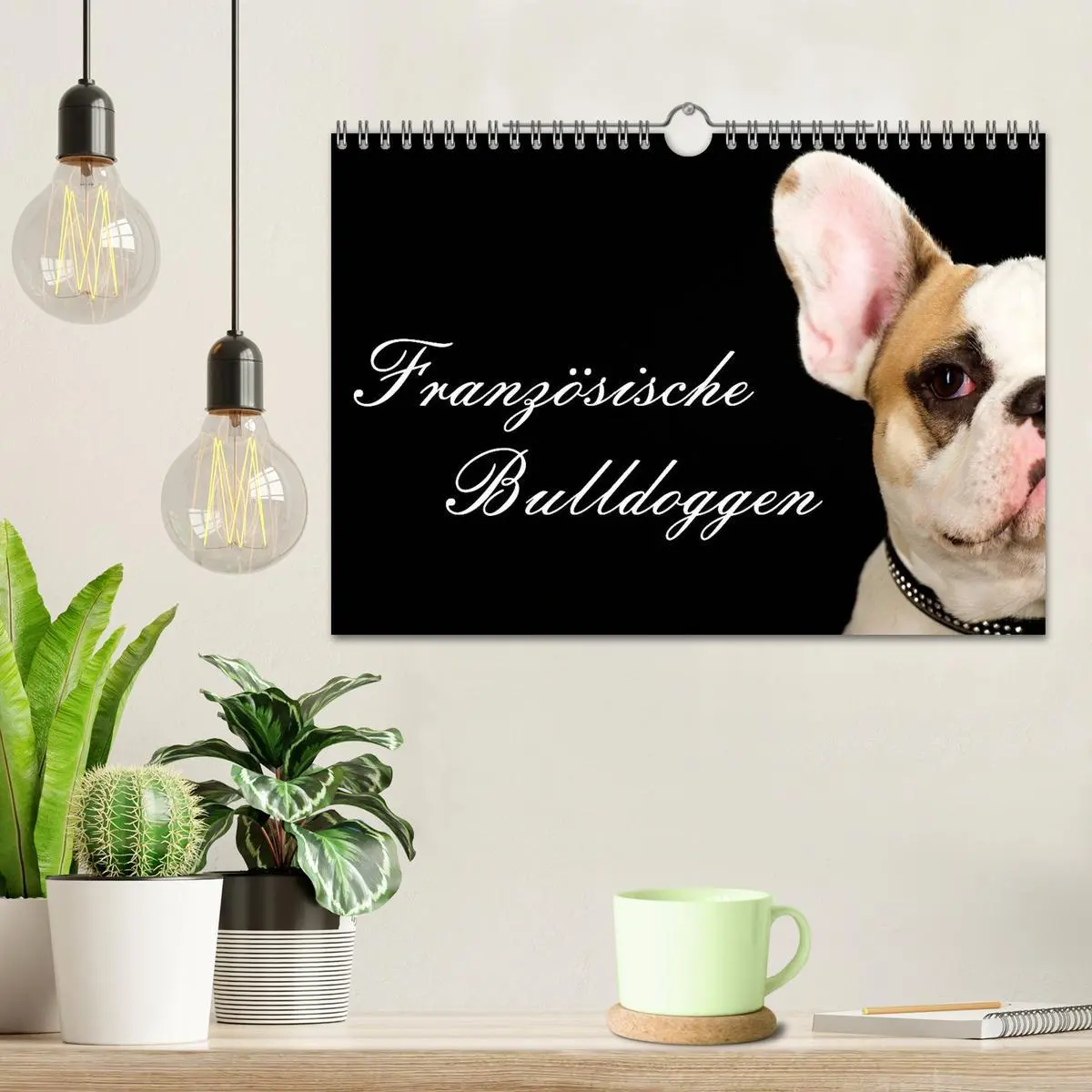 Bild: 9783516148251 | Französische Bulldoggen (Wandkalender 2026 DIN A4 quer), CALVENDO...