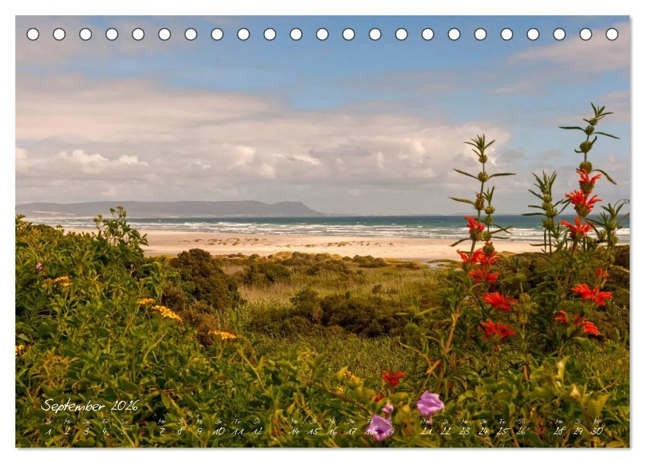 Bild: 9783516218251 | Am Kap von Südafrika (Tischkalender 2026 DIN A5 quer), CALVENDO...