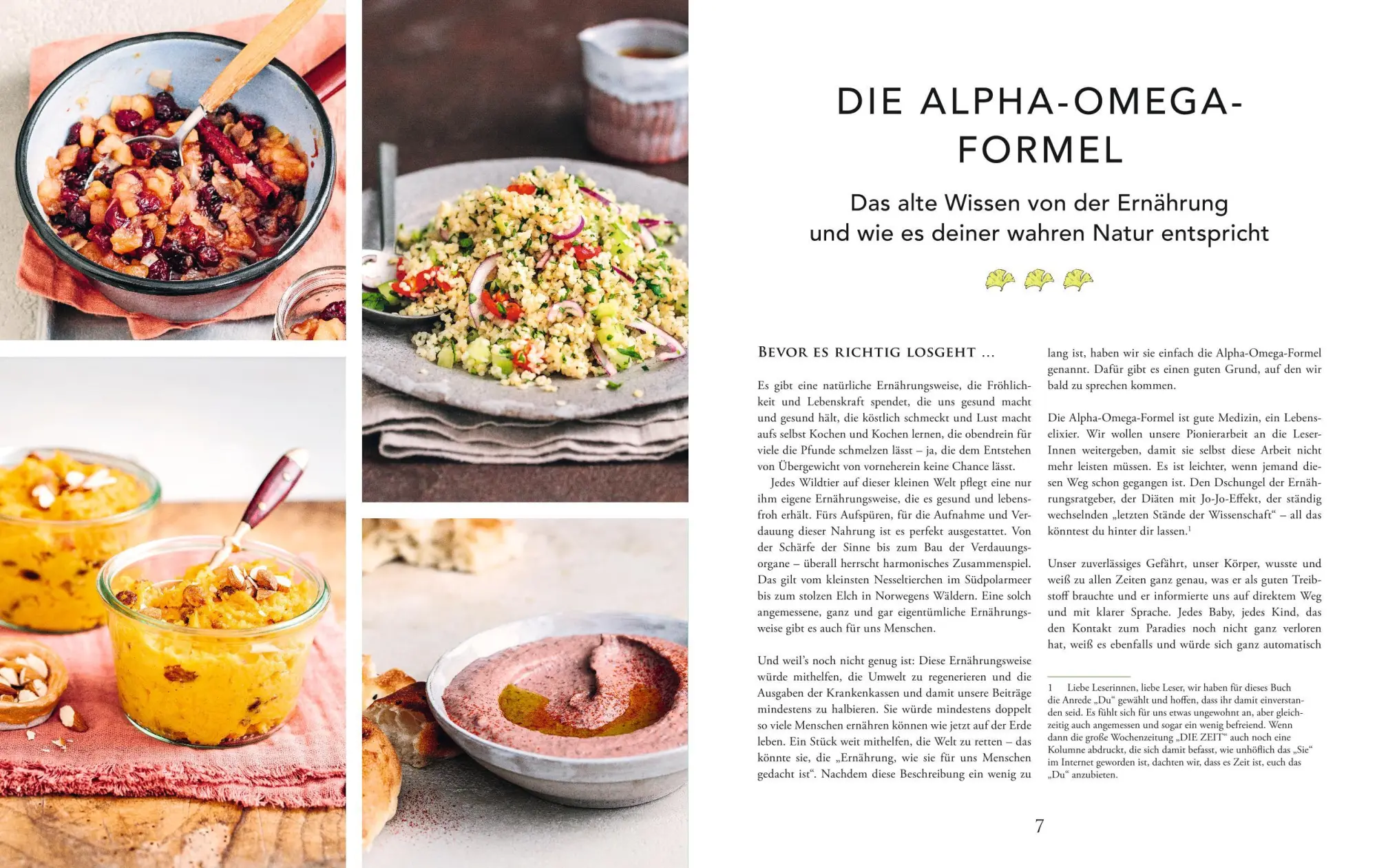 Bild: 9783833878251 | Die Alpha-Omega-Formel | Johanna Paungger (u. a.) | Buch | 320 S.