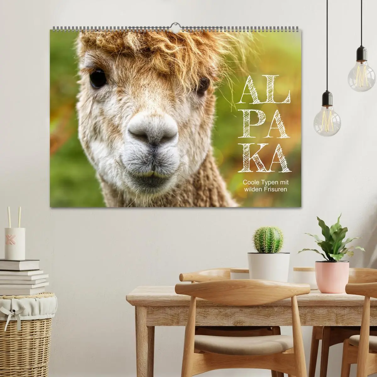 Bild: 9783457598351 | Alpaka, coole Typen mit wilden Frisuren (Wandkalender 2026 DIN A2...