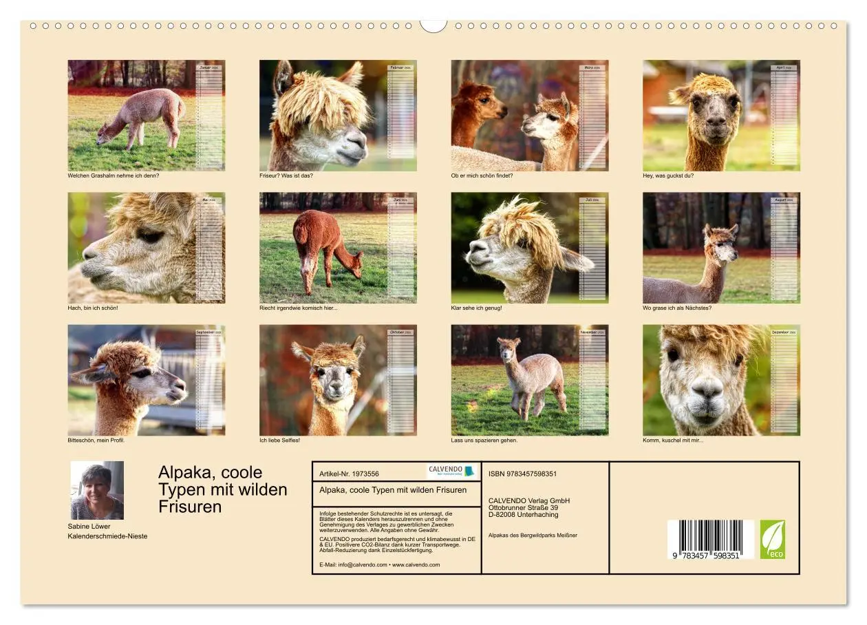 Bild: 9783457598351 | Alpaka, coole Typen mit wilden Frisuren (Wandkalender 2026 DIN A2...