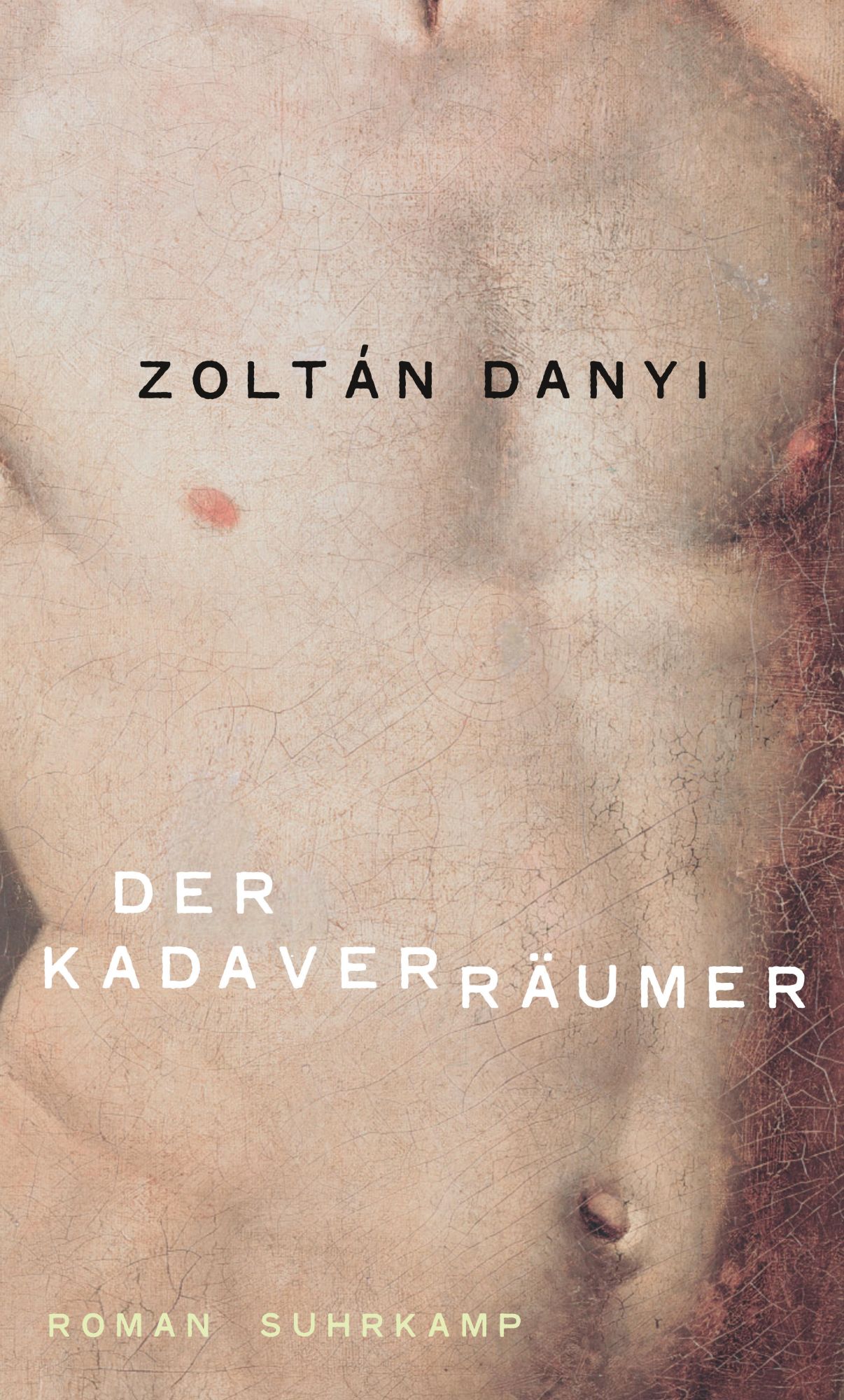 Cover: 9783518428351 | Der Kadaverräumer | Zoltán Danyi | Buch | 251 S. | Deutsch | 2018