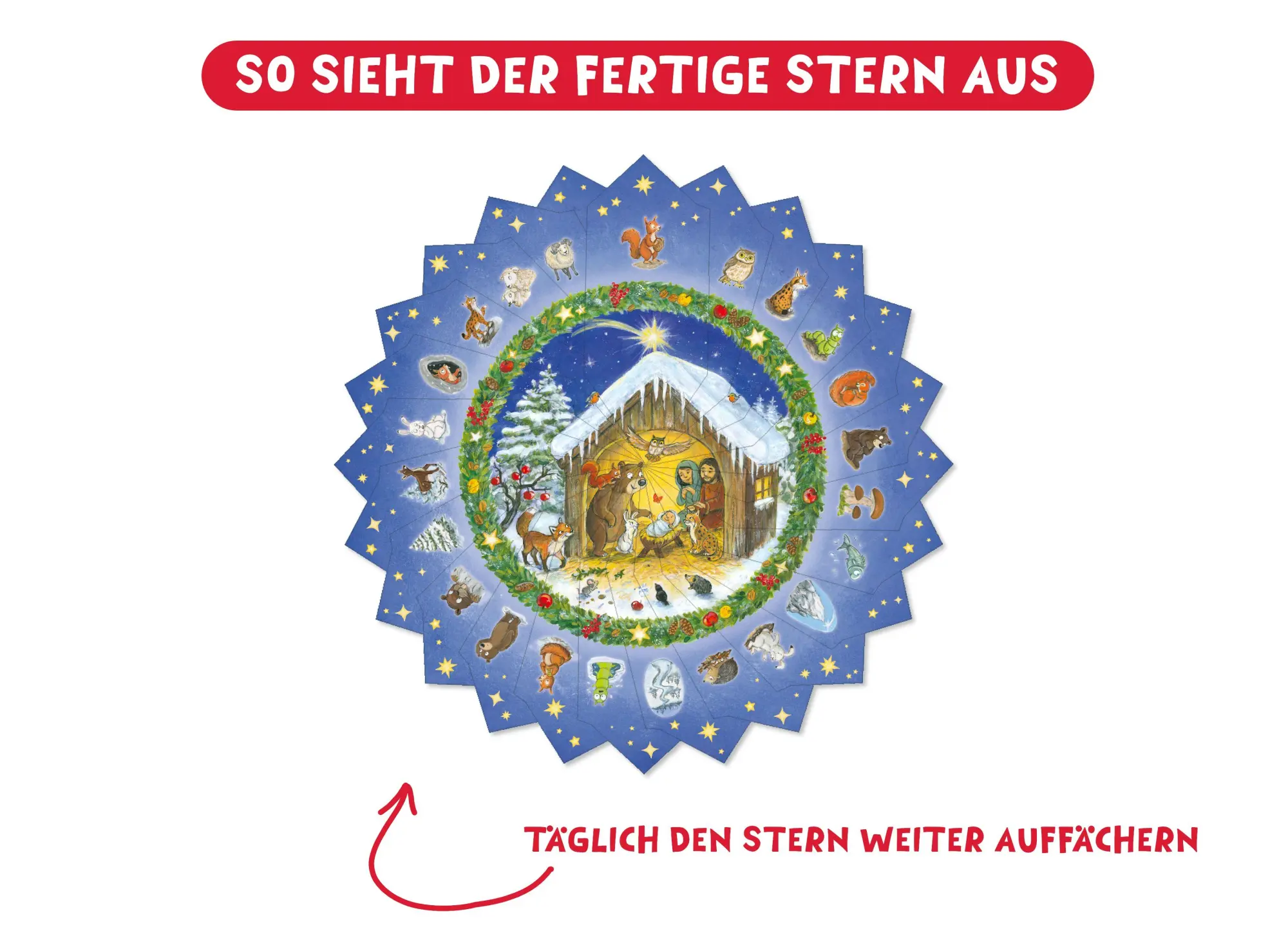 Bild: 9783780618351 | Tiere auf dem Weg zur Krippe | Adventskalender mit einem Stern | Buch