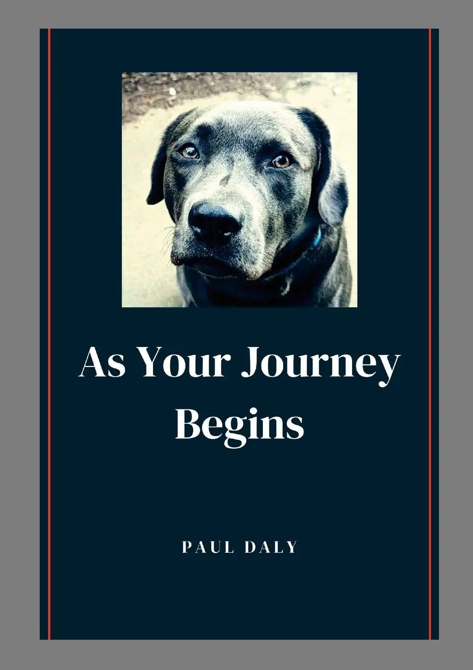 Cover: 9781445288451 | As your Journey Begins | Paul Anthony Daly | Taschenbuch | Englisch