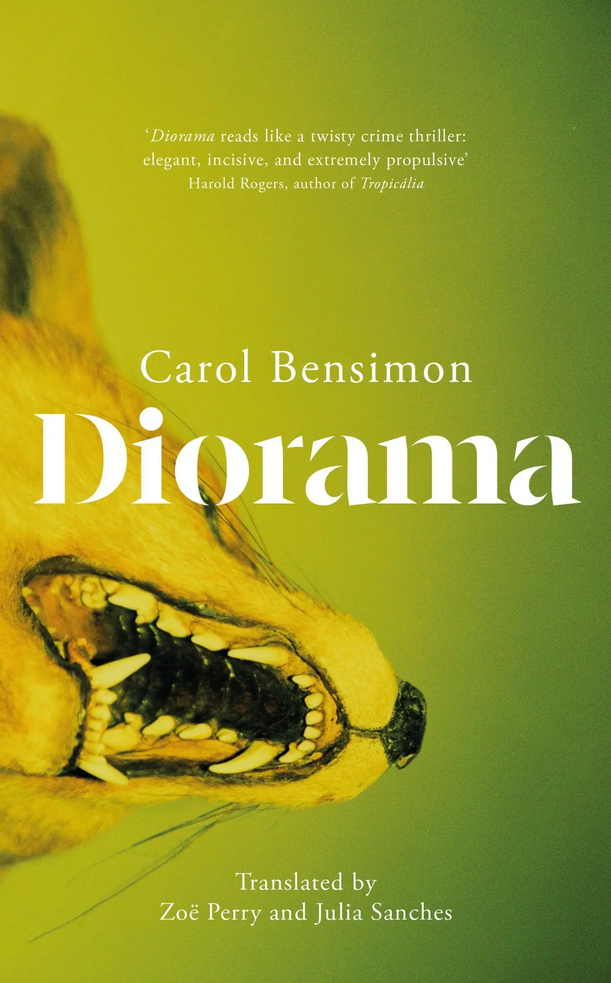 Cover: 9781529438451 | Diorama | an engrossing suspense novel set in 1980s Brazil | Bensimon