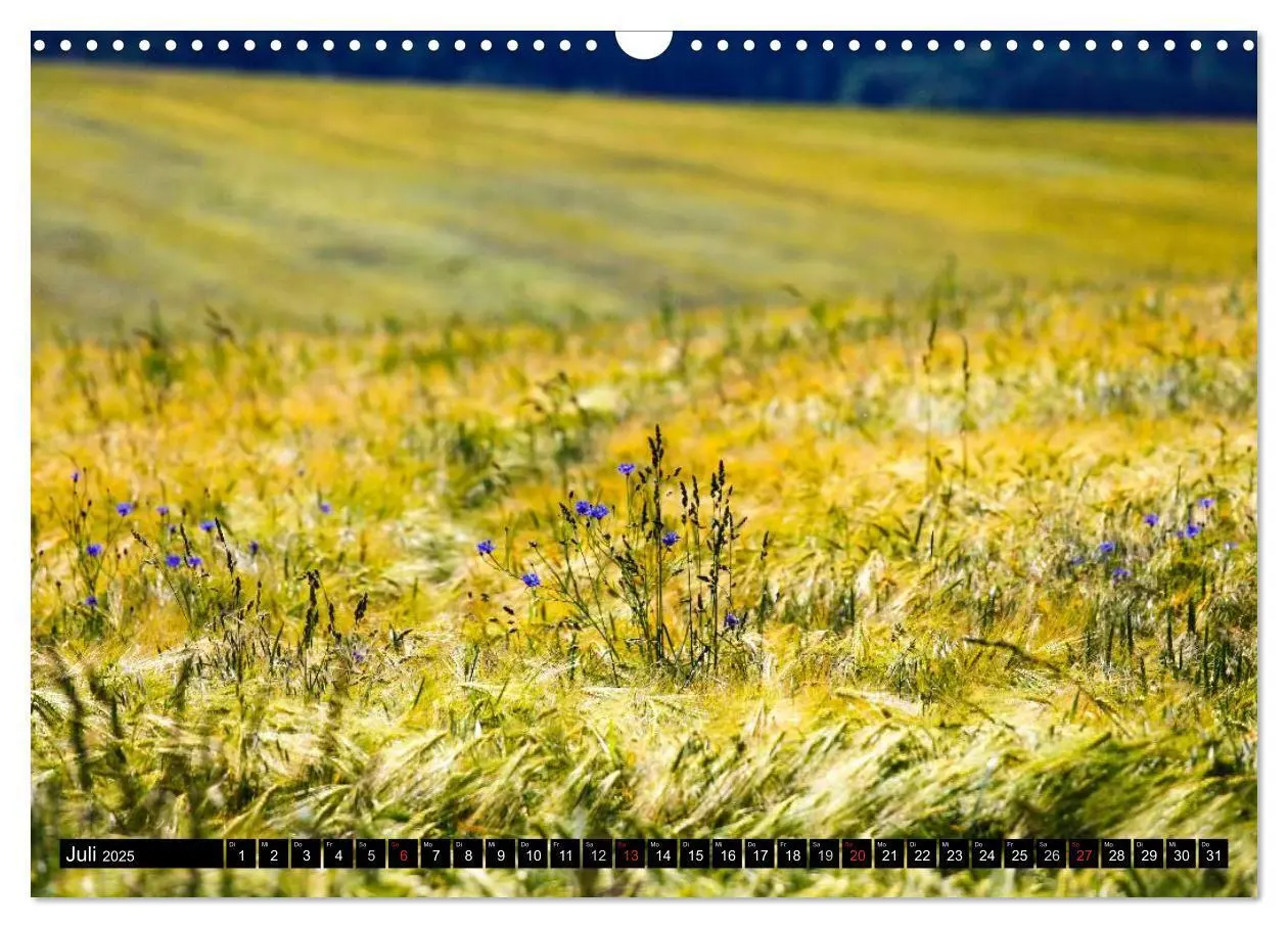 Bild: 9783435568451 | Schöne Landschaften der Oberlausitz (Wandkalender 2025 DIN A3...