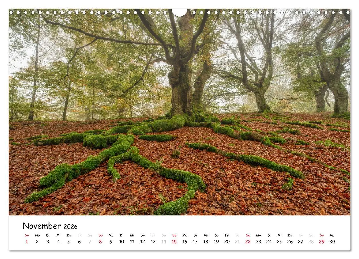 Bild: 9783457278451 | Fotogenes Nordhessen (Wandkalender 2026 DIN A3 quer), CALVENDO...