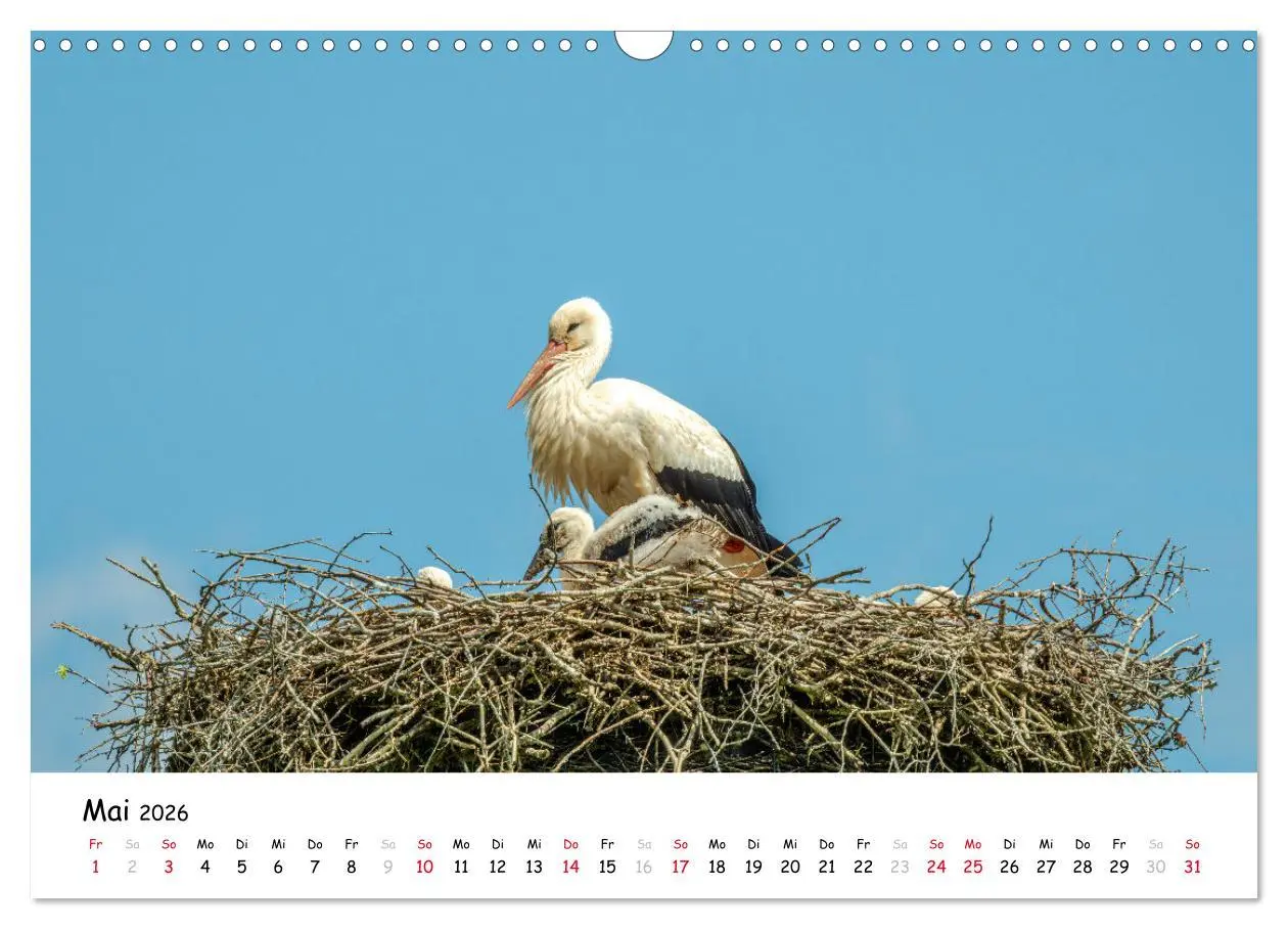 Bild: 9783457278451 | Fotogenes Nordhessen (Wandkalender 2026 DIN A3 quer), CALVENDO...