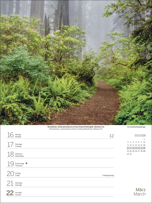 Bild: 9783731888451 | Augenblicke der Stille 2026 | Verlag Korsch | Kalender | 54 S. | 2026