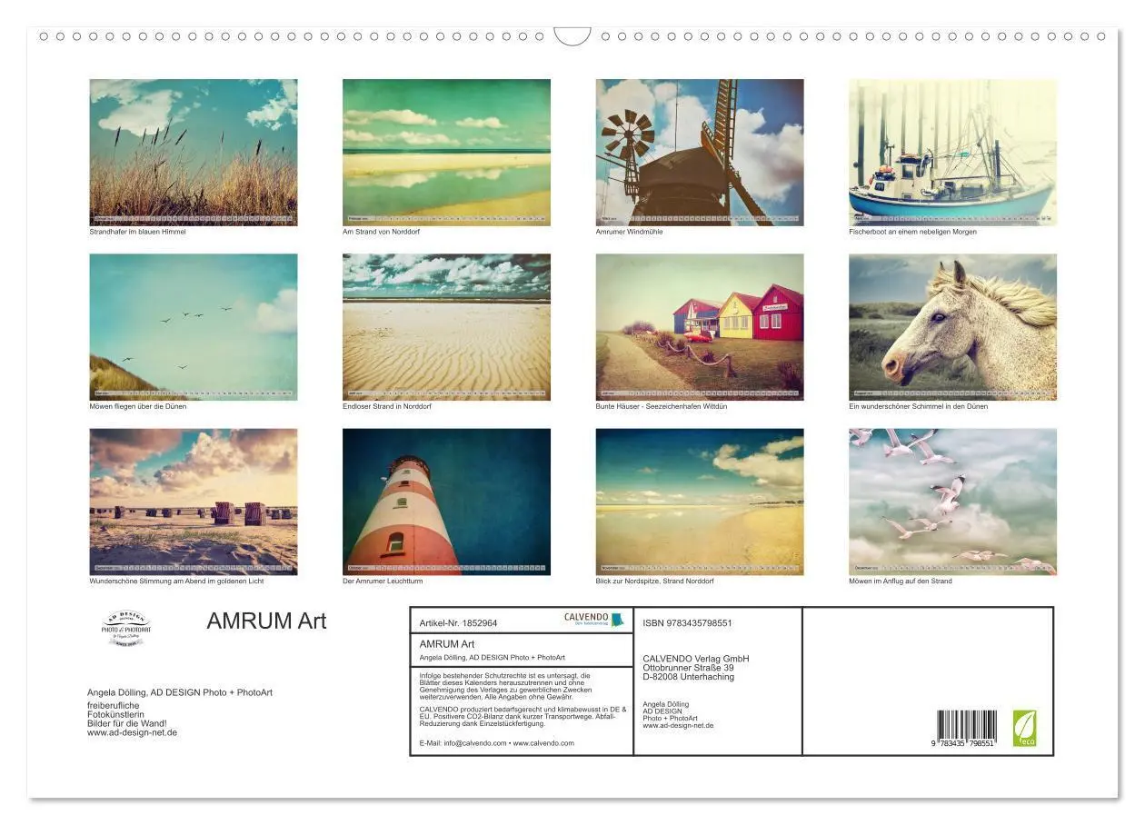 Bild: 9783435798551 | AMRUM Art (Wandkalender 2025 DIN A2 quer), CALVENDO Monatskalender