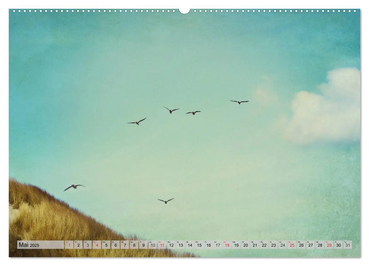 Bild: 9783435798551 | AMRUM Art (Wandkalender 2025 DIN A2 quer), CALVENDO Monatskalender