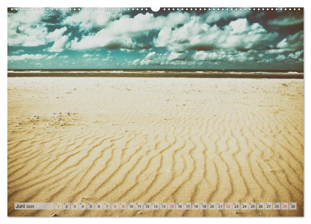 Bild: 9783435798551 | AMRUM Art (Wandkalender 2025 DIN A2 quer), CALVENDO Monatskalender