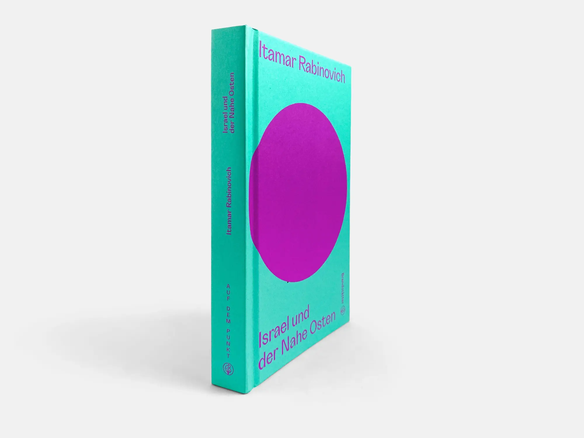 Bild: 9783710608551 | Israel und der Nahe Osten | Itamar Rabinovich | Buch | Auf dem Punkt