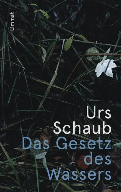 Cover: 9783857918551 | Das Gesetz des Wassers | Urs Schaub | Taschenbuch | 486 S. | Deutsch