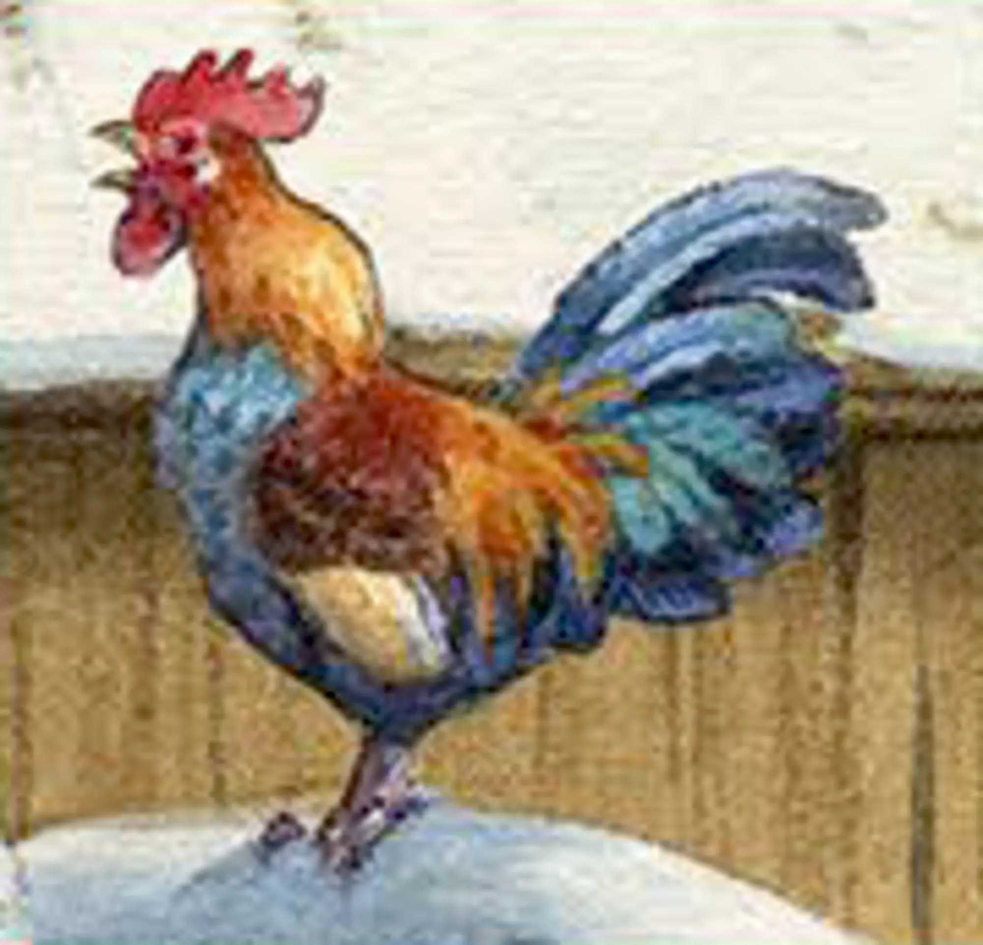 Bild: 4050003958651 | Sound-Adventskalender - Unsere Tiere auf dem Land | Ute Simon | 1 S.