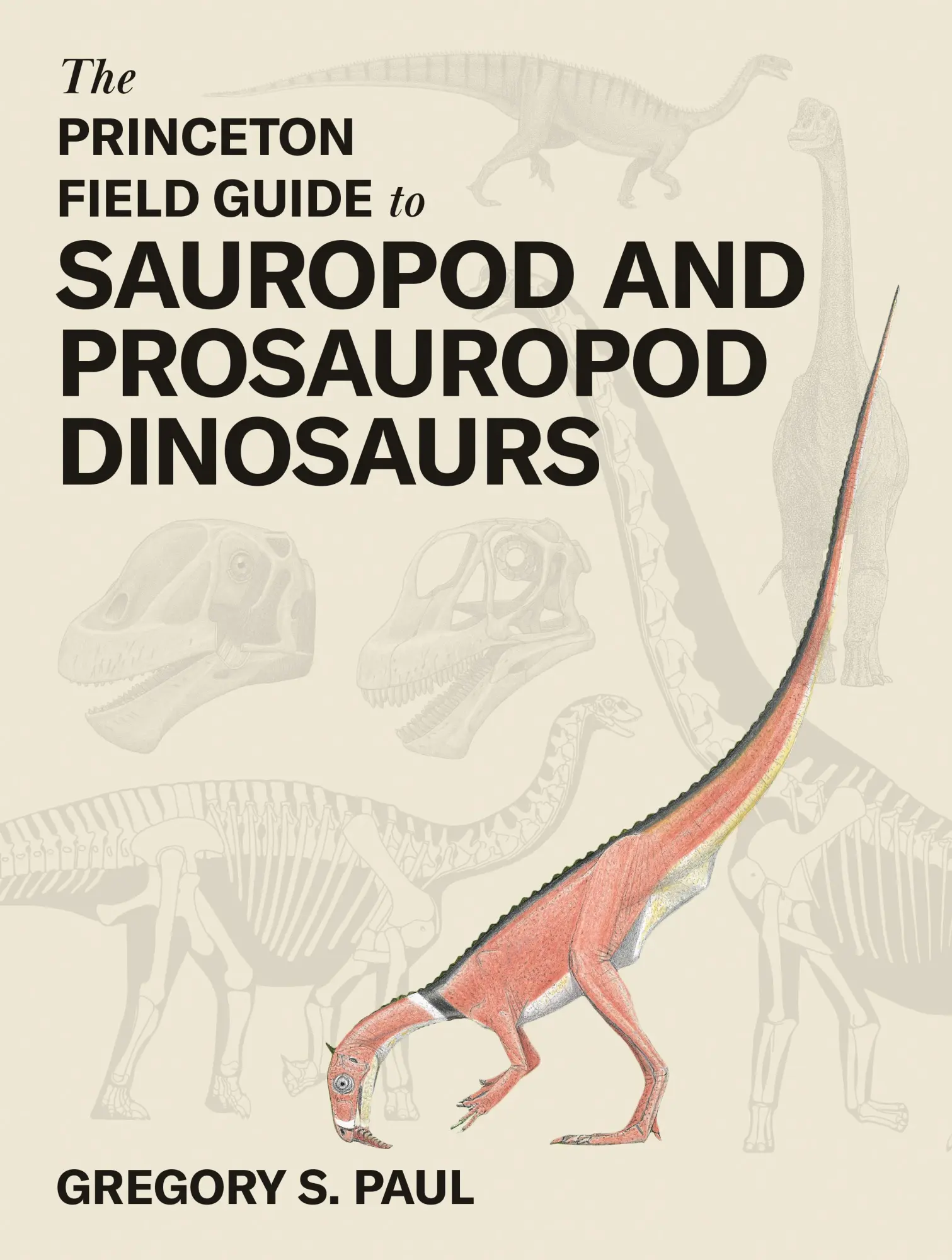 Cover: 9780691268651 | The Princeton Field Guide to Sauropod and Prosauropod Dinosaurs | Paul