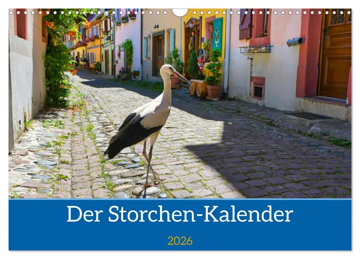 Cover: 9783457568651 | Der Storchenkalender (Wandkalender 2026 DIN A3 quer), CALVENDO...
