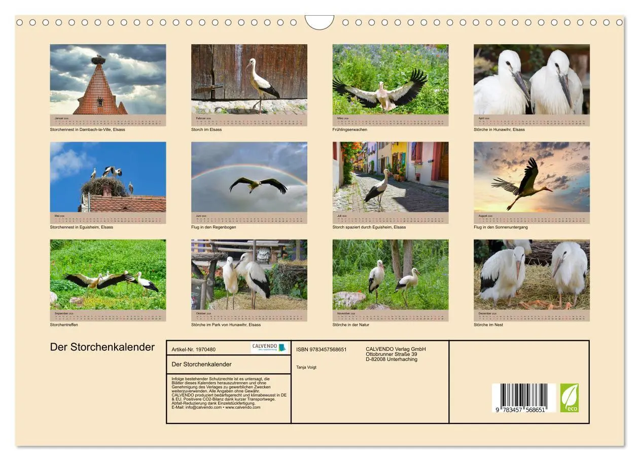 Bild: 9783457568651 | Der Storchenkalender (Wandkalender 2026 DIN A3 quer), CALVENDO...