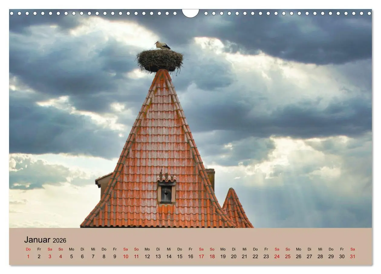 Bild: 9783457568651 | Der Storchenkalender (Wandkalender 2026 DIN A3 quer), CALVENDO...