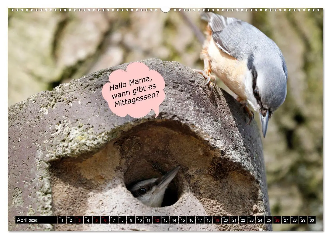 Bild: 9783457638651 | Wenn Tiere sprechen könnten! Der lustige Sprüche Kalender...