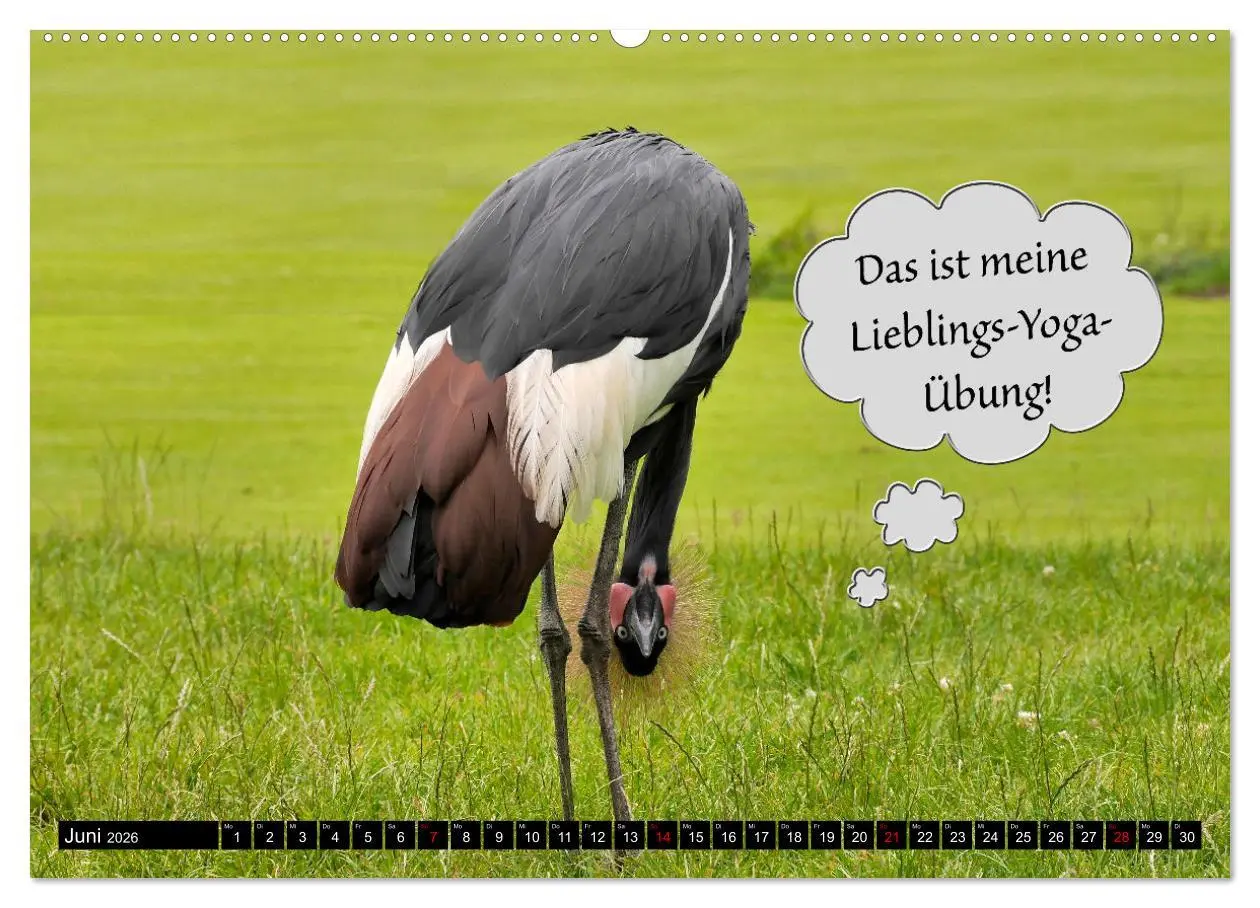 Bild: 9783457638651 | Wenn Tiere sprechen könnten! Der lustige Sprüche Kalender...