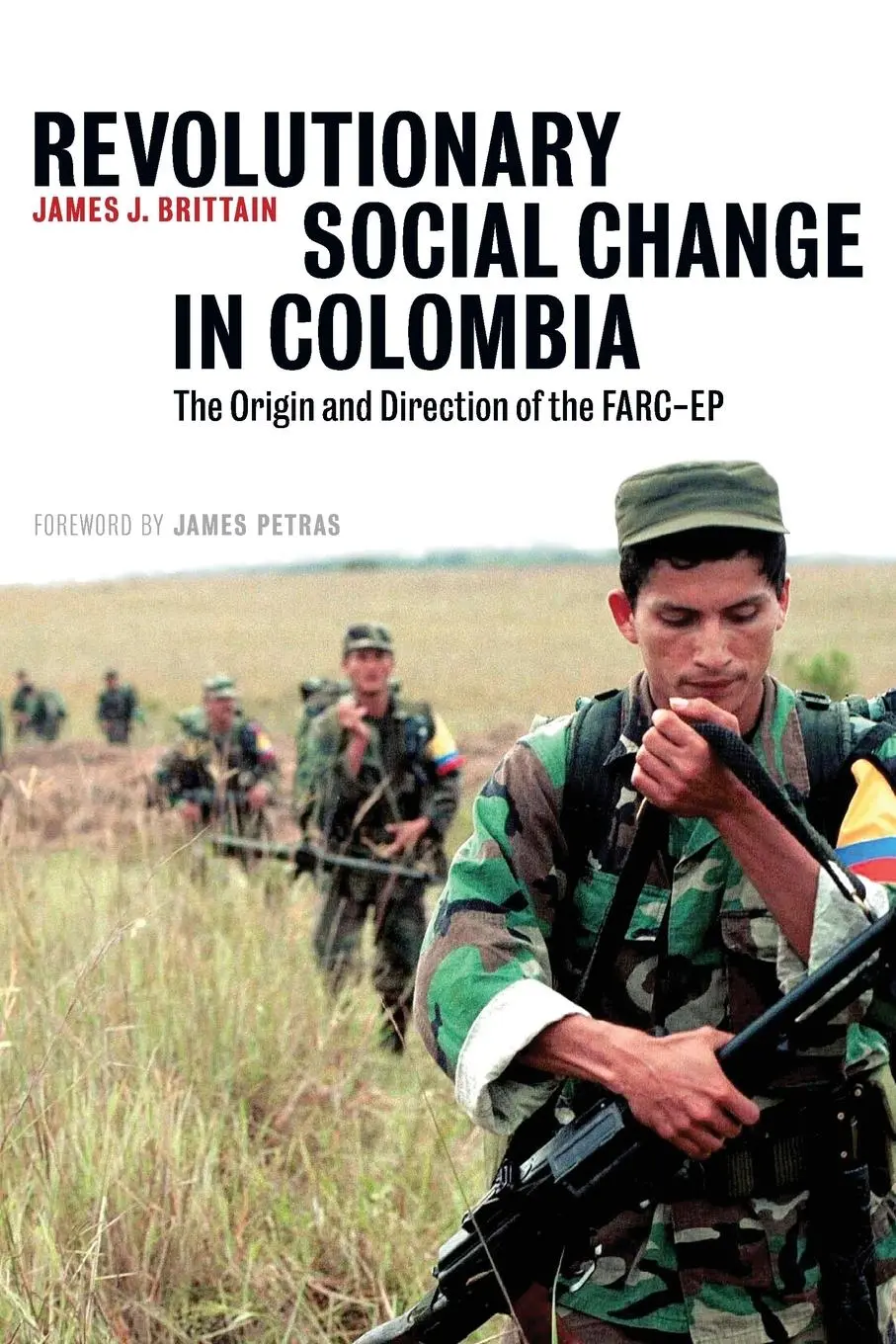 Cover: 9780745328751 | Revolutionary Social Change In Colombia | James J. Brittain | Buch