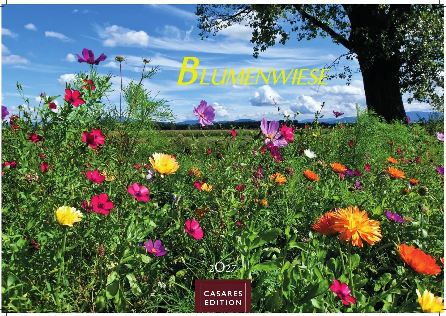 Cover: 9781835248751 | Blumenwiese Kalender 2027 - Wandkalender Fotokalender Naturkalender...
