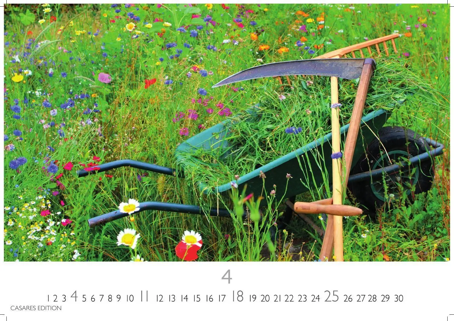 Bild: 9781835248751 | Blumenwiese Kalender 2027 - Wandkalender Fotokalender Naturkalender...