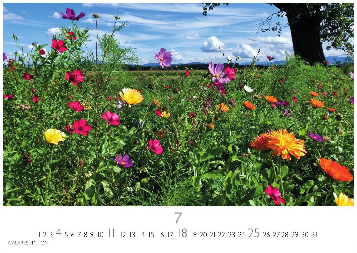 Bild: 9781835248751 | Blumenwiese Kalender 2027 - Wandkalender Fotokalender Naturkalender...