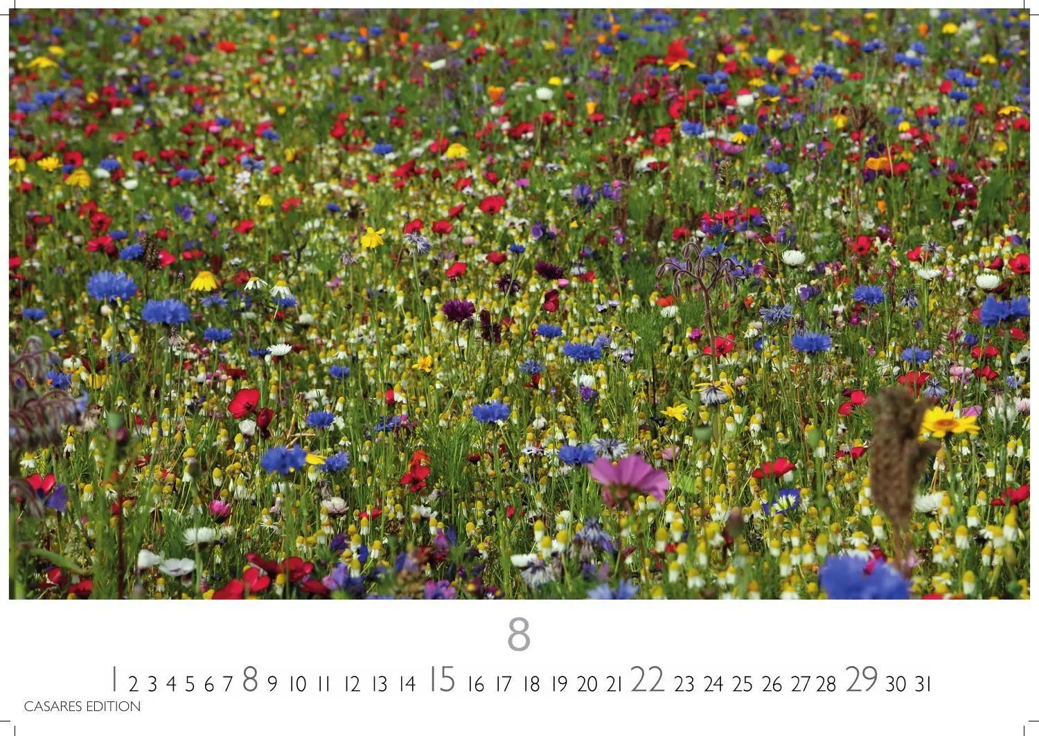 Bild: 9781835248751 | Blumenwiese Kalender 2027 - Wandkalender Fotokalender Naturkalender...