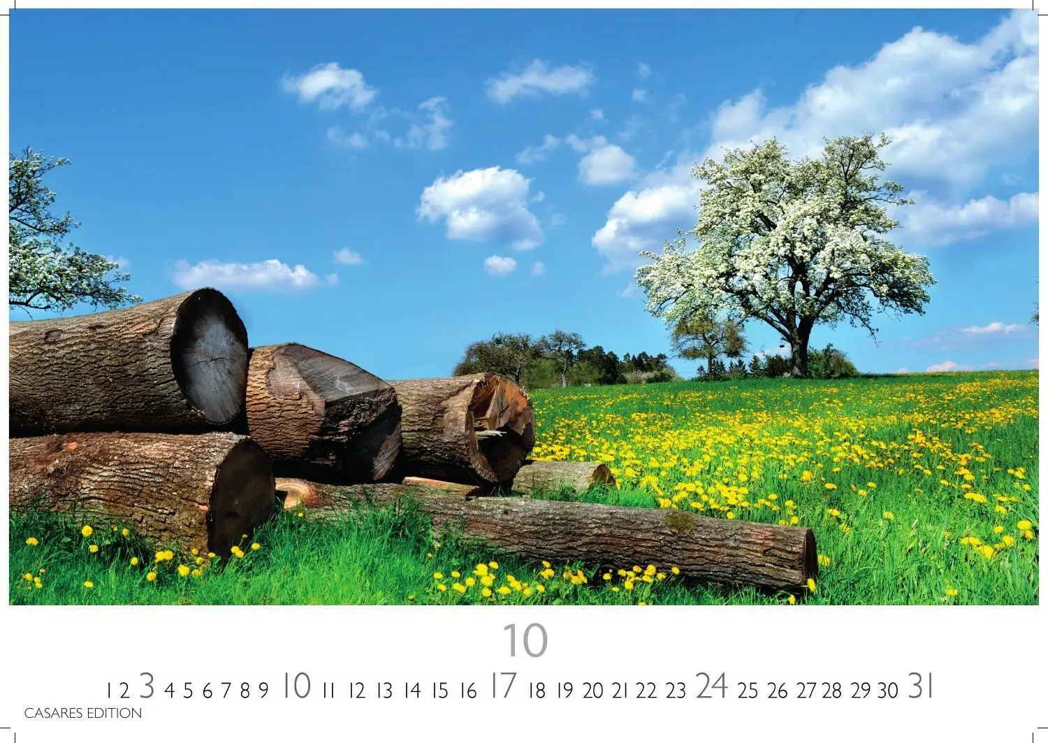 Bild: 9781835248751 | Blumenwiese Kalender 2027 - Wandkalender Fotokalender Naturkalender...