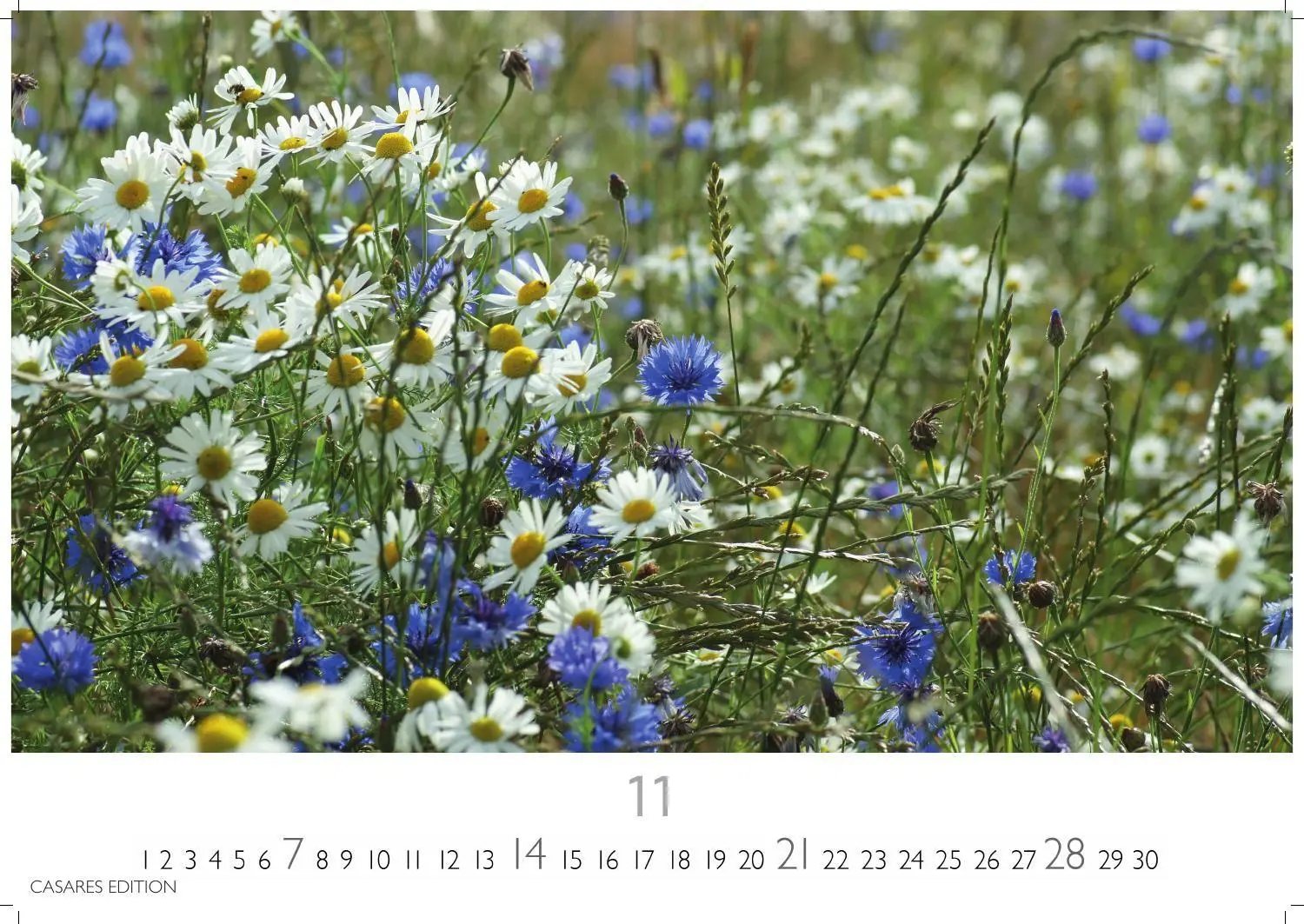 Bild: 9781835248751 | Blumenwiese Kalender 2027 - Wandkalender Fotokalender Naturkalender...