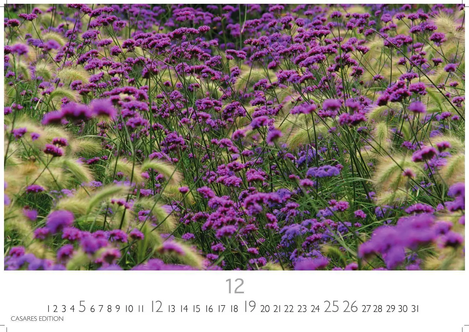 Bild: 9781835248751 | Blumenwiese Kalender 2027 - Wandkalender Fotokalender Naturkalender...