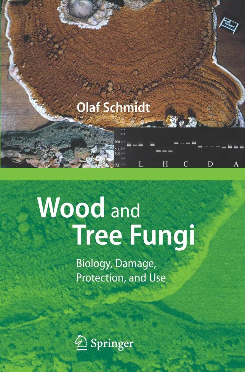 Cover: 9783642068751 | Wood and Tree Fungi | Biology, Damage, Protection, and Use | Schmidt