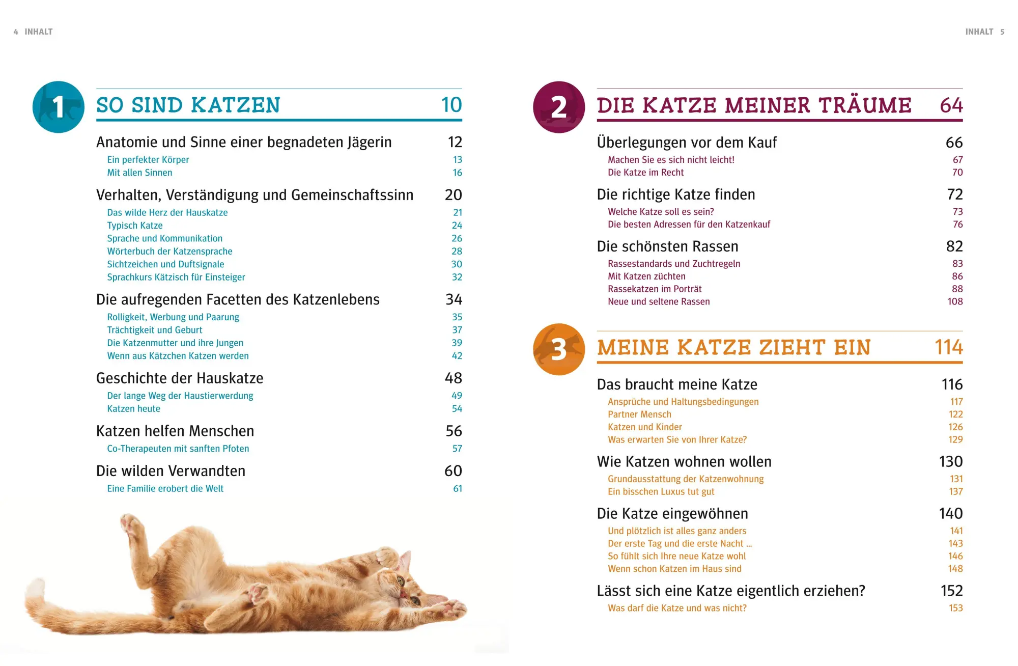 Bild: 9783833828751 | Katzen. Das große Praxishandbuch | Gerd Ludwig | Buch | 288 S. | 2016