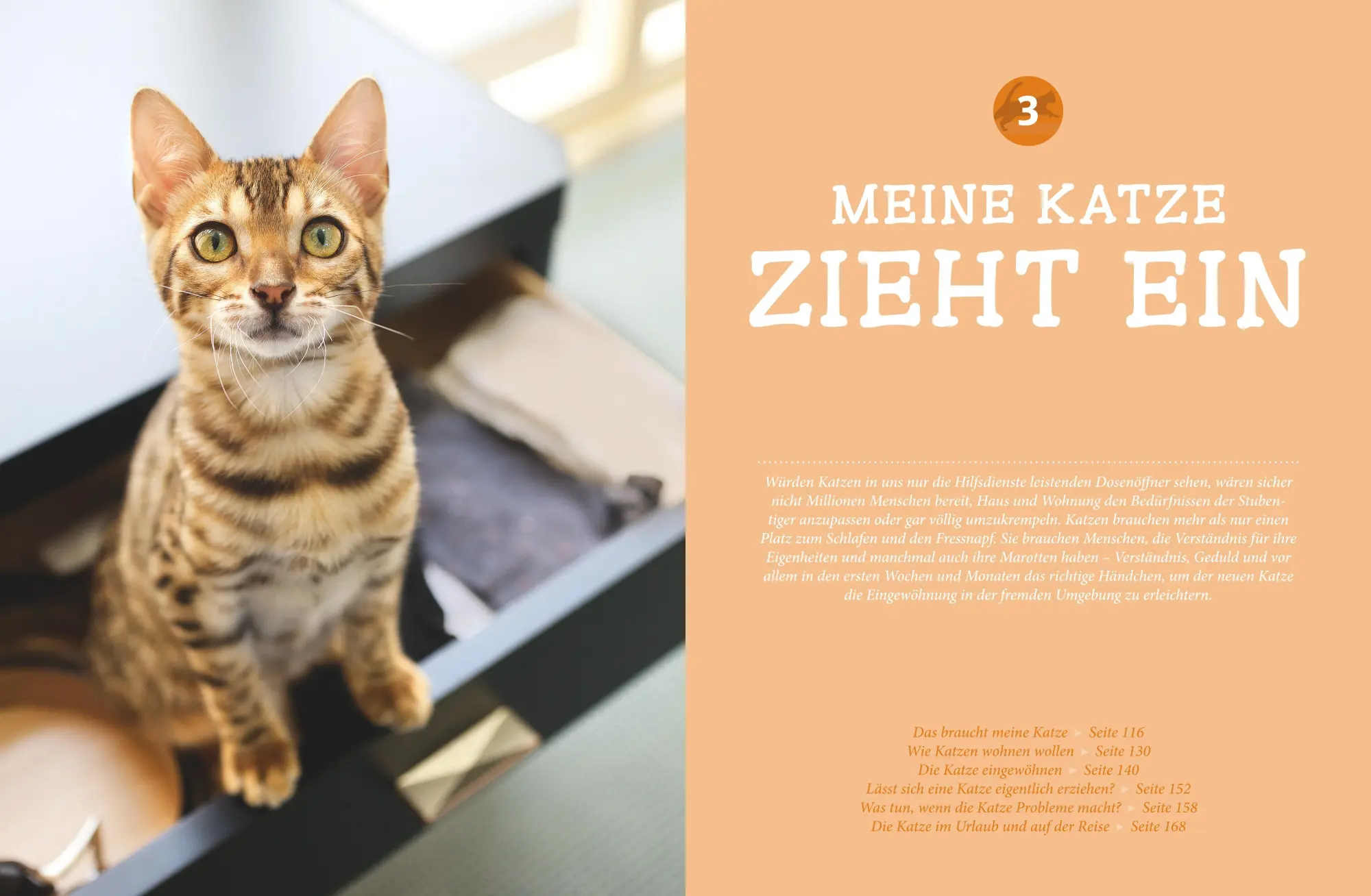 Bild: 9783833828751 | Katzen. Das große Praxishandbuch | Gerd Ludwig | Buch | 288 S. | 2016
