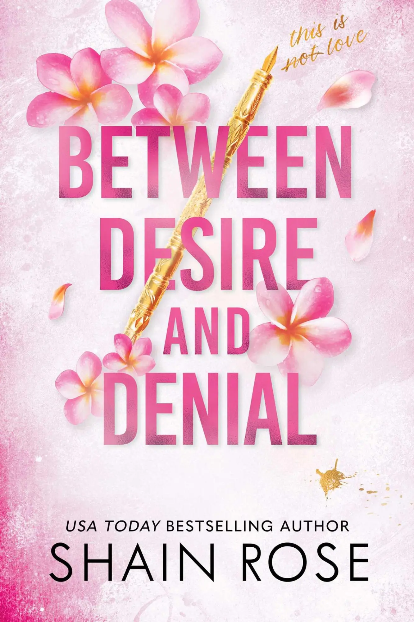 Cover: 9798989528851 | Between Desire and Denial | Shain Rose | Taschenbuch | Englisch | 2024