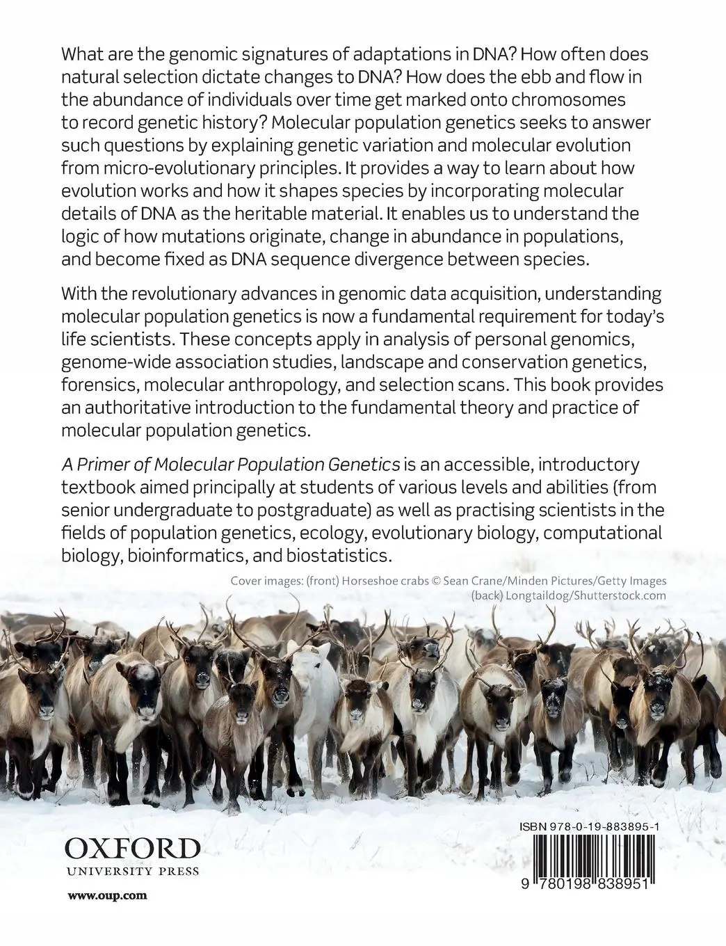 Rückseite: 9780198838951 | PRIMER OF MOLEC POPUL GENETICS P | Cutter | Taschenbuch | Englisch