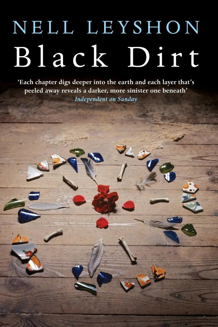 Cover: 9781447218951 | Black Dirt | Nell Leyshon | Taschenbuch | Englisch | 2012 | Picador