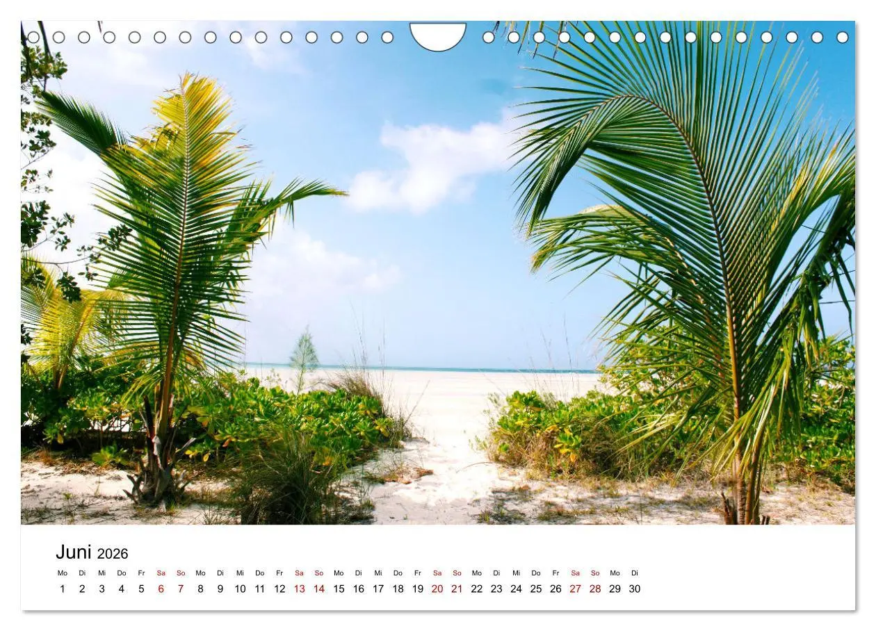 Bild: 9783457608951 | Bahamas - Paradiesische Strände. (Wandkalender 2026 DIN A4 quer),...