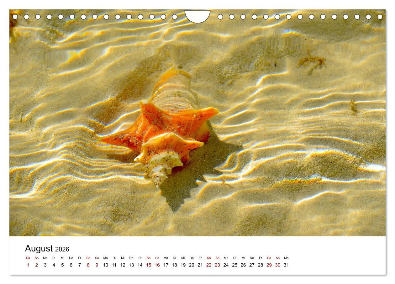 Bild: 9783457608951 | Bahamas - Paradiesische Strände. (Wandkalender 2026 DIN A4 quer),...