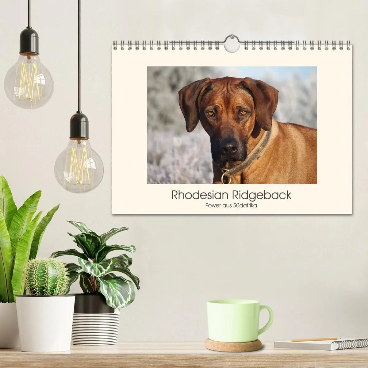 Bild: 9783457848951 | Rhodesian Ridgeback Power aus Südafrika (Wandkalender 2026 DIN A4...