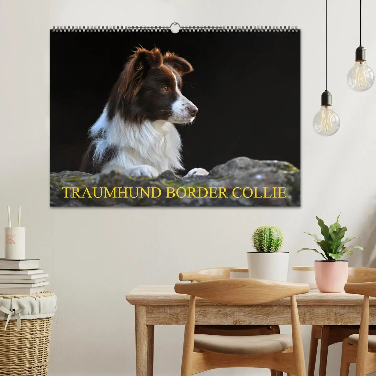 Bild: 9783457918951 | Traumhund Border Collie (Wandkalender 2026 DIN A2 quer), CALVENDO...