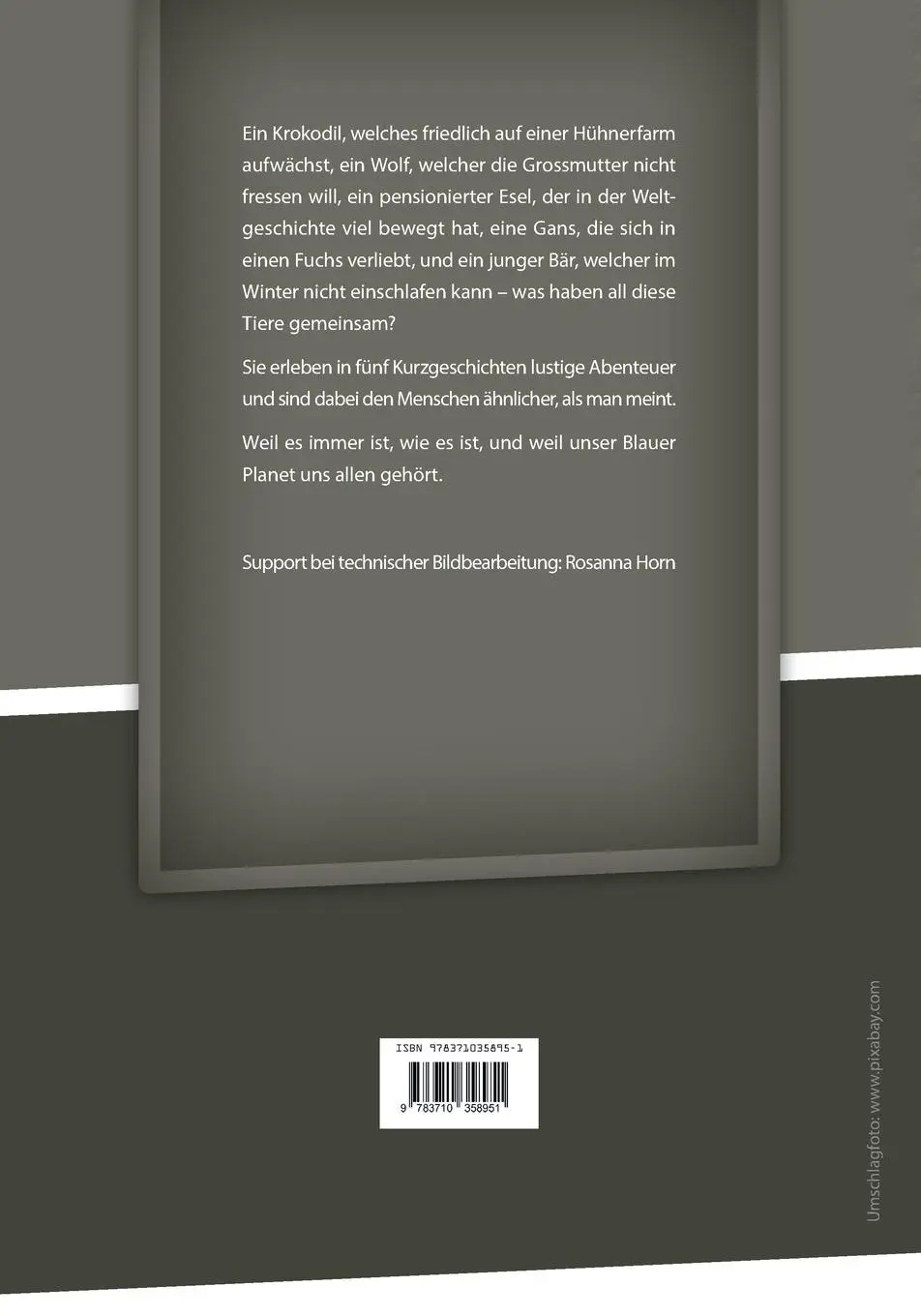 Rückseite: 9783710358951 | Weil es immer ist, wie es ist | Claudius Kobiela | Taschenbuch | 2024